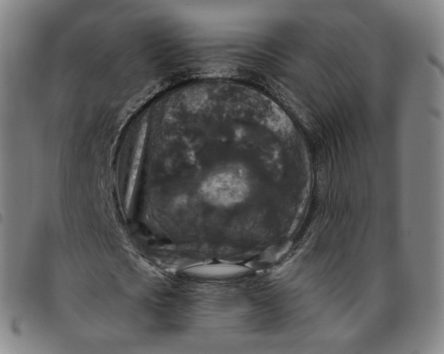 X0000097510721200803071824