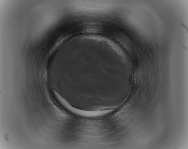 X0000097510722200803071824