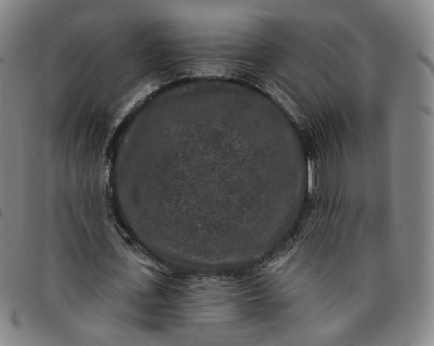 X0000097510723200803071824