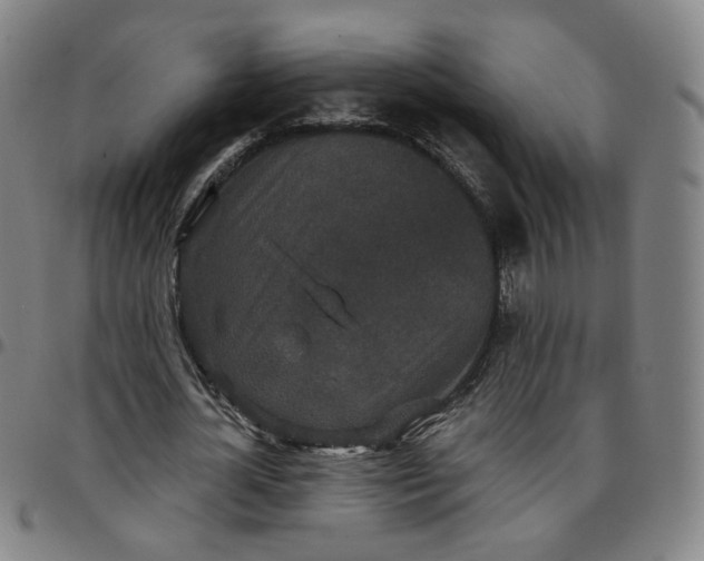 X0000097510724200803071824