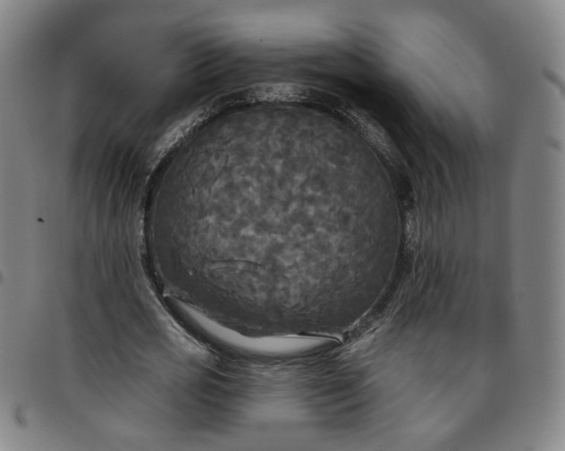 X0000097510725200803071824