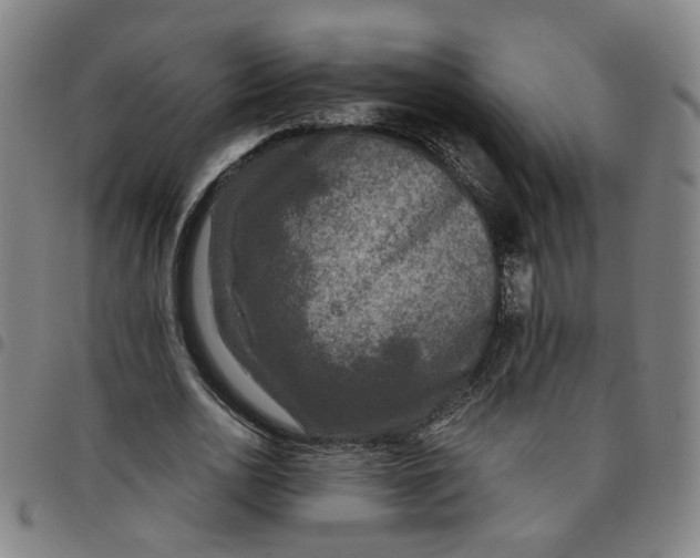 X0000097510726200803071824