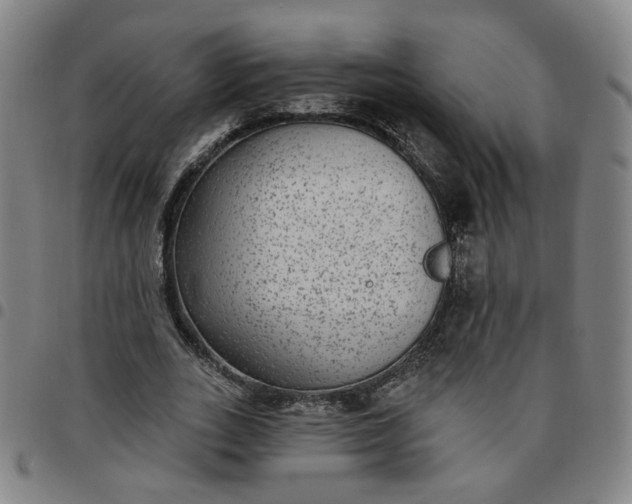 X0000097510727200803071824