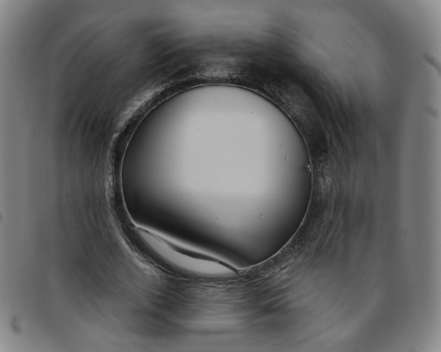 X0000097510728200803071824