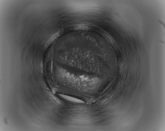 X0000097510729200803071824