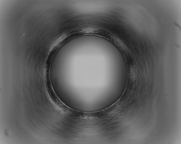 X0000097510730200803071824