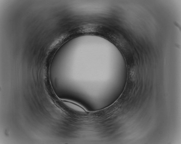 X0000097510732200803071824