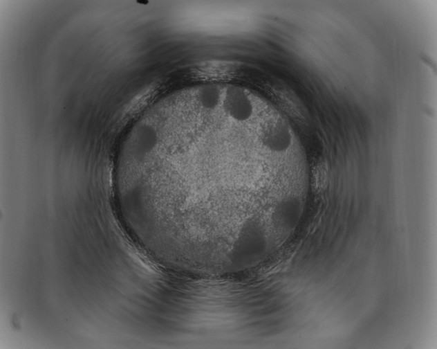 X0000097510733200803071824