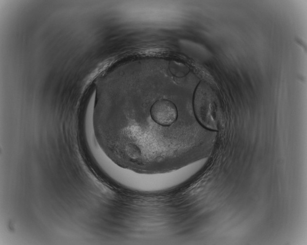 X0000097510734200803071824