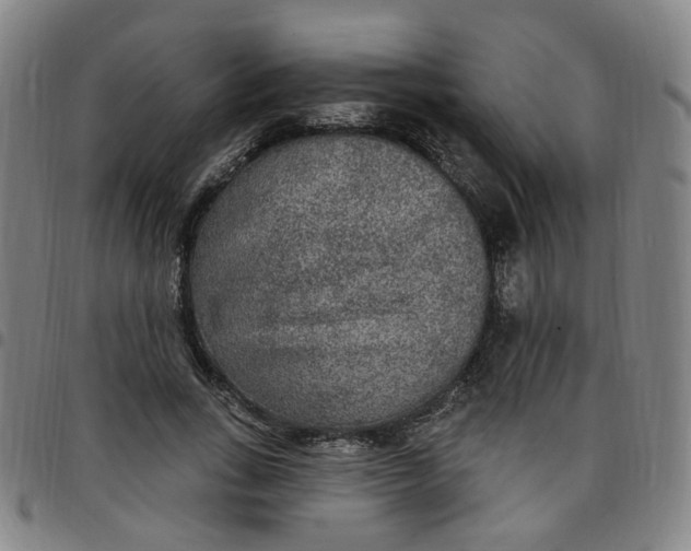 X0000097510735200803071824