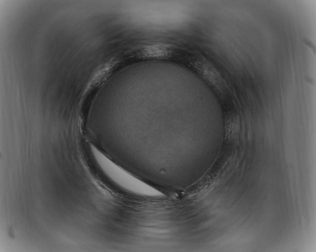 X0000097510736200803071824