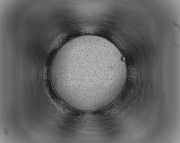 X0000097510738200803071824