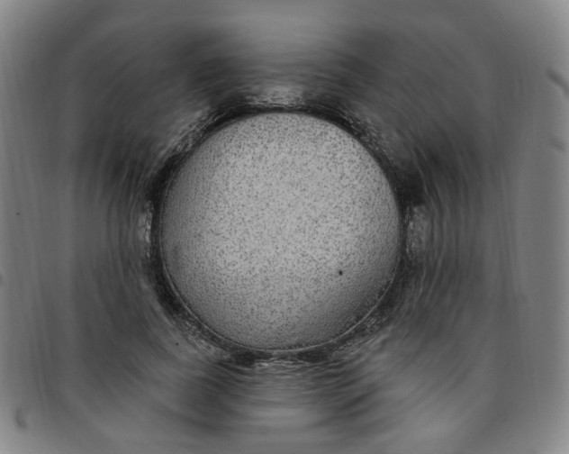 X0000097510739200803071824