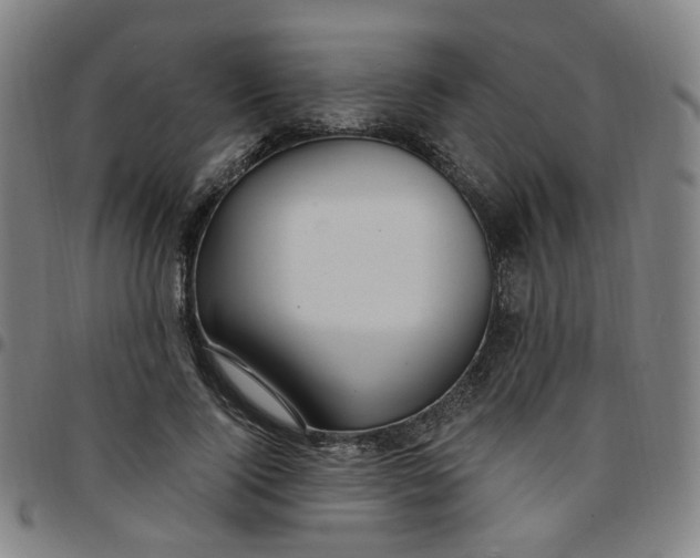 X0000097510740200803071824