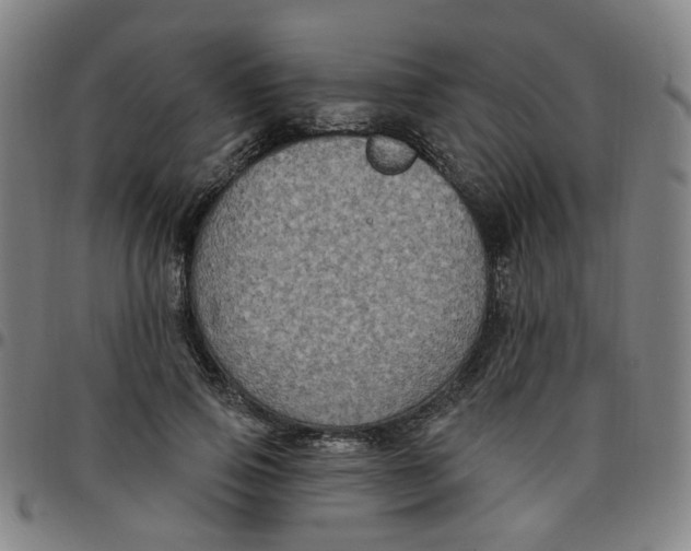 X0000097510741200803071824