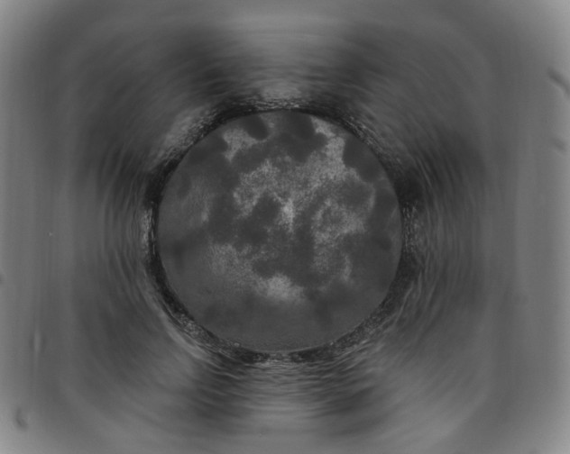 X0000097510742200803071824