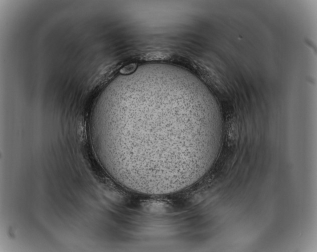 X0000097510743200803071824