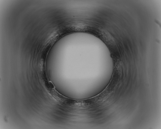 X0000097510744200803071824