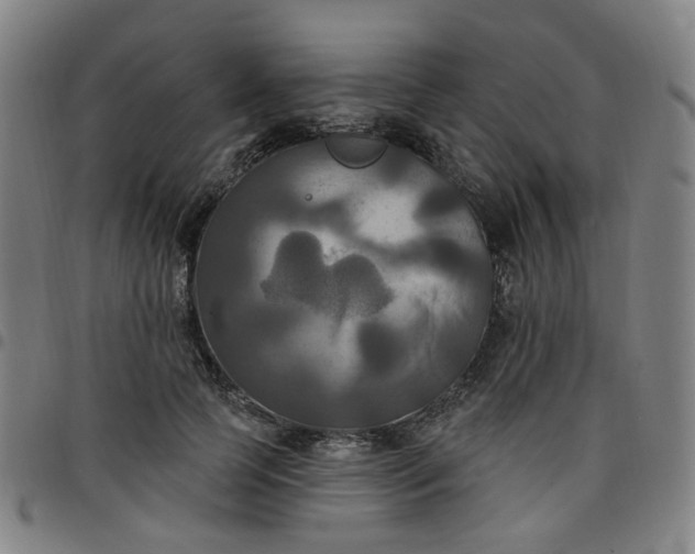 X0000097510745200803071824