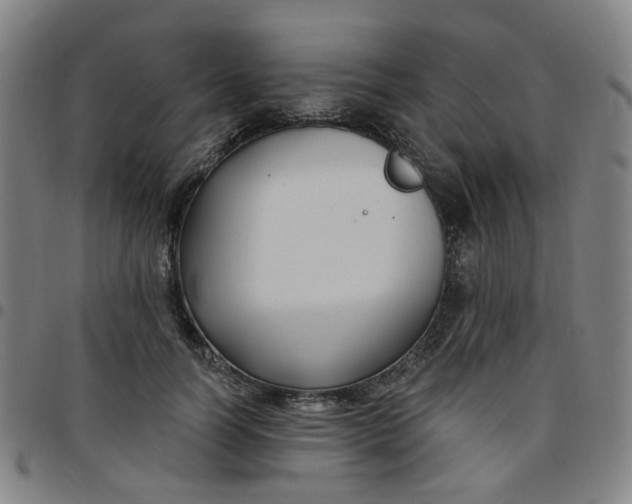 X0000097510746200803071824