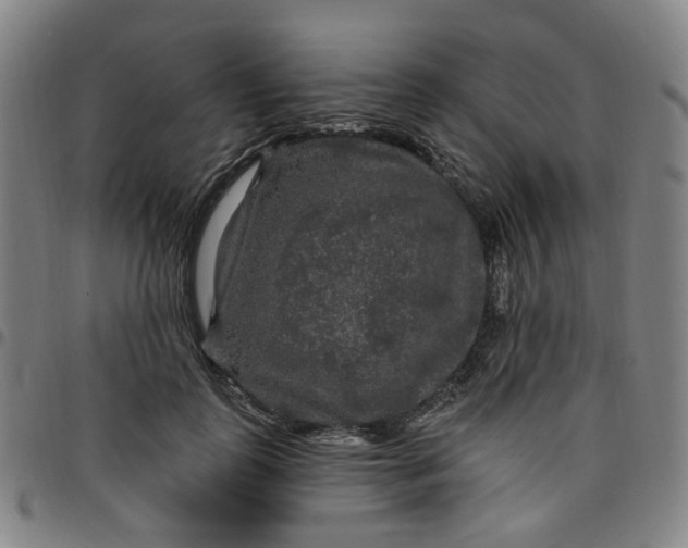 X0000097510747200803071824