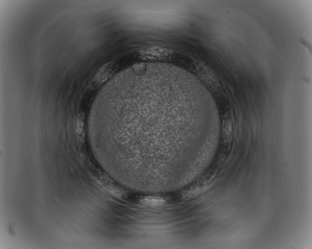 X0000097510749200803071824