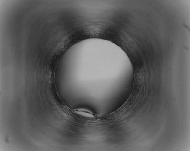 X0000097510750200803071824