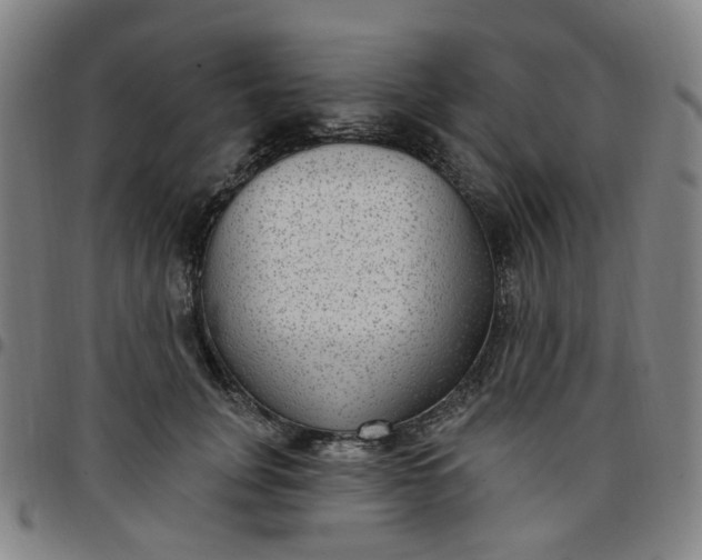 X0000097510751200803071824