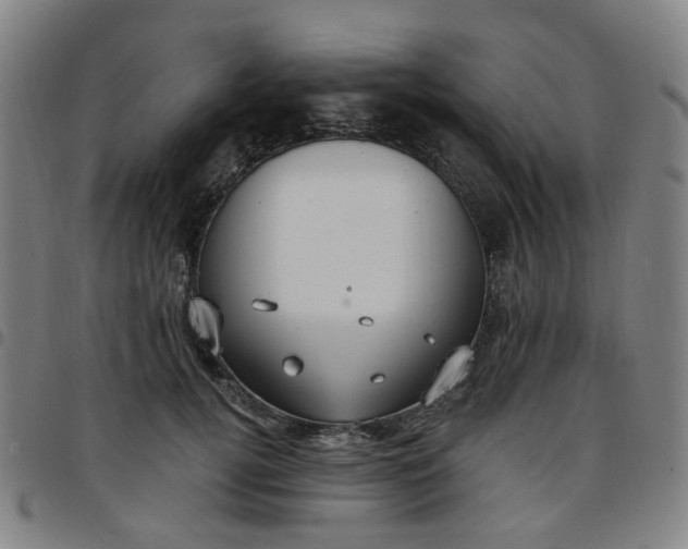 X0000097510752200803071824