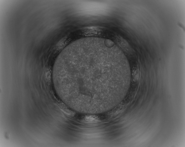 X0000097510753200803071824