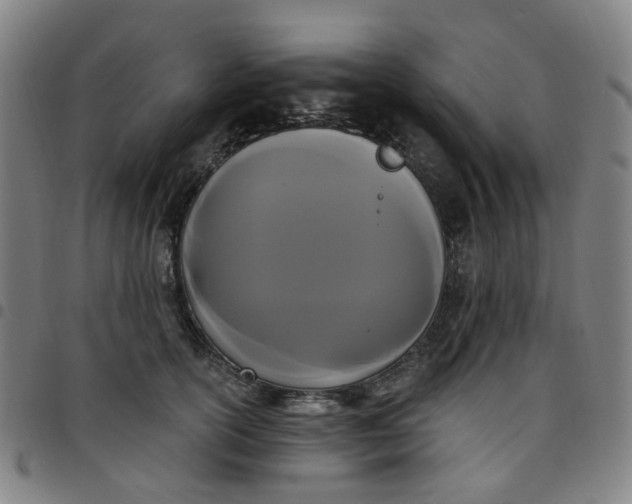 X0000097510754200803071824