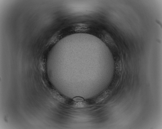 X0000097510755200803071824