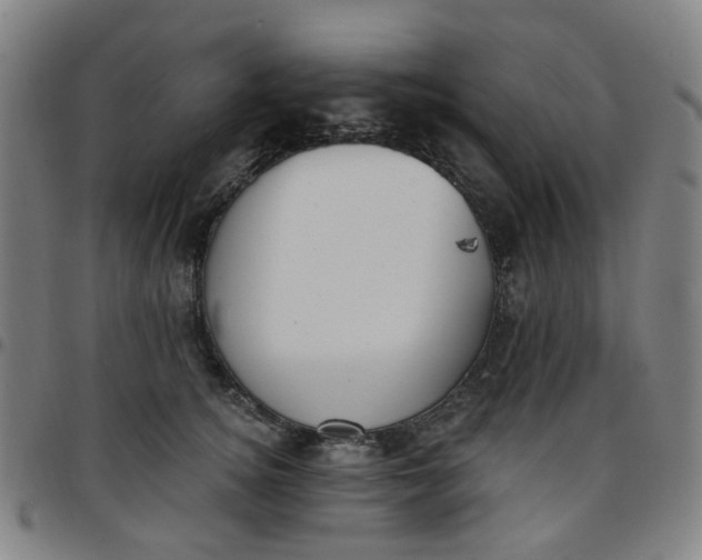 X0000097510756200803071824