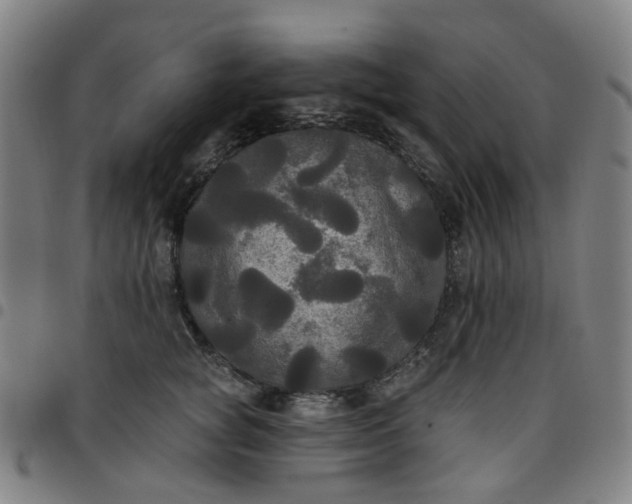 X0000097510757200803071824