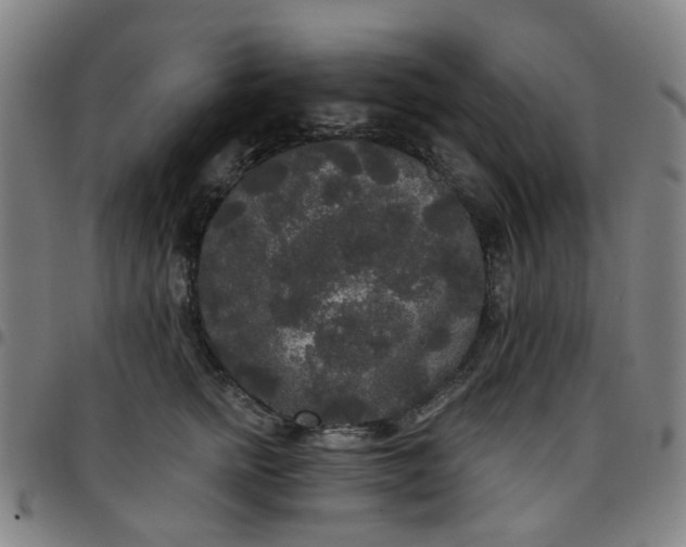 X0000097510758200803071824