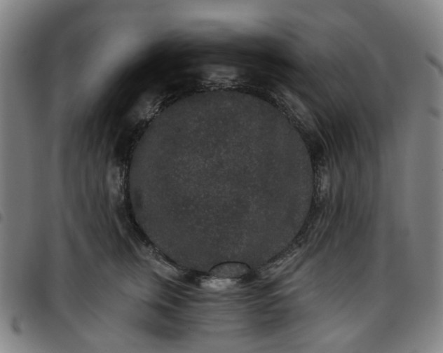 X0000097510759200803071824