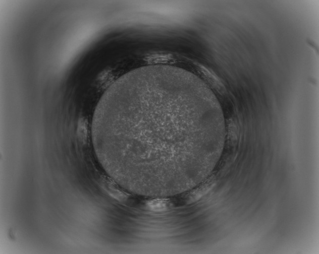 X0000097510761200803071824