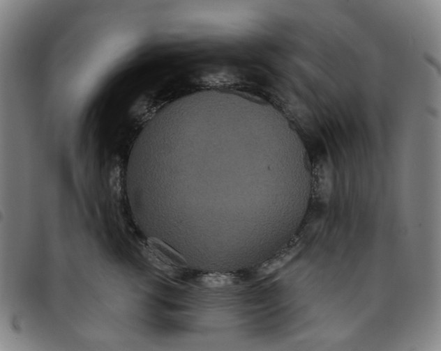 X0000097510762200803071824