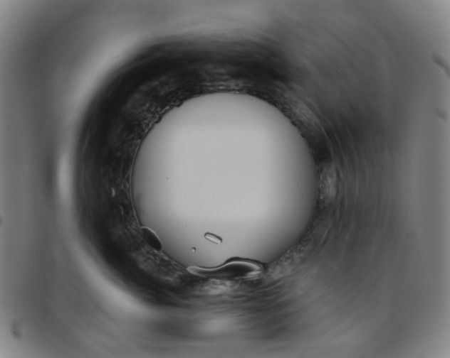 X0000097510764200803071824