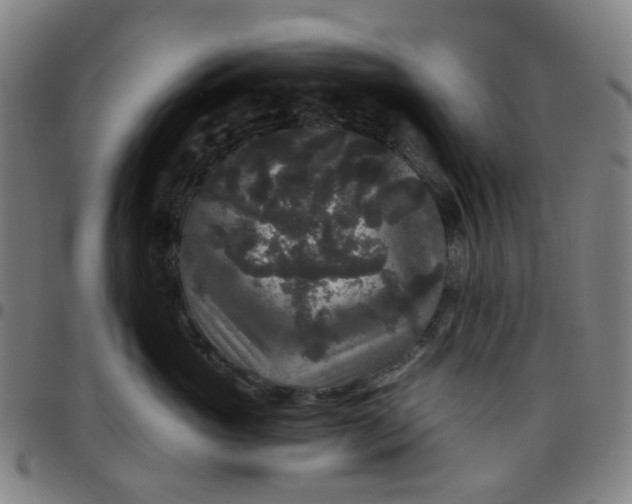 X0000097510765200803071824