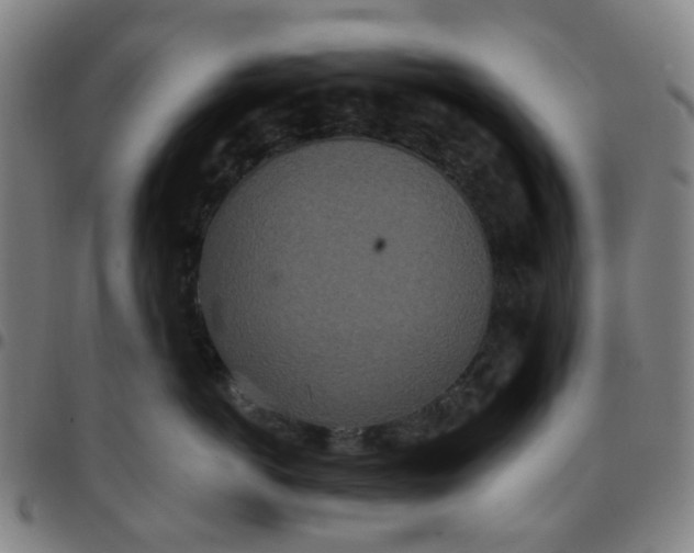 X0000097510766200803071824