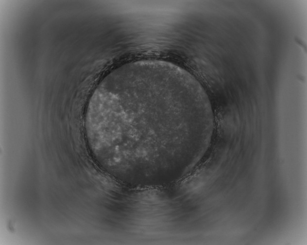 X0000097510769200803071824