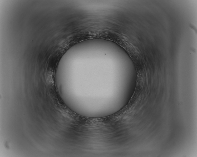 X0000097510770200803071824