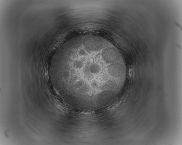 X0000097510771200803071823