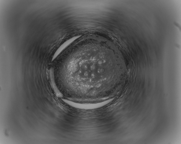 X0000097510772200803071823