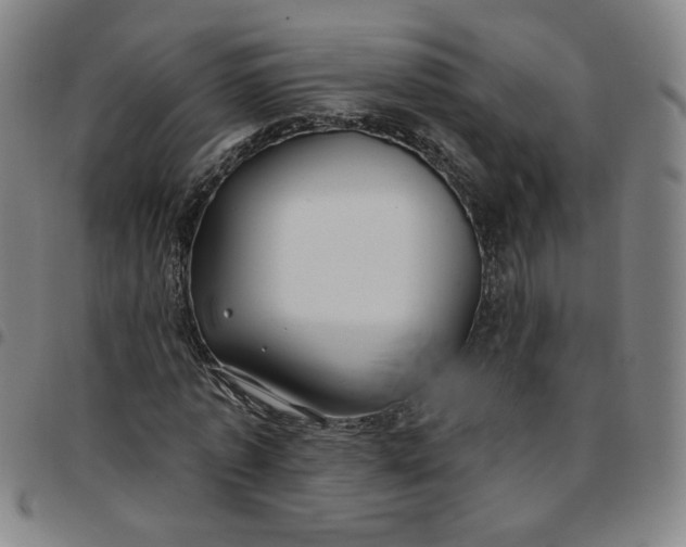 X0000097510773200803071823