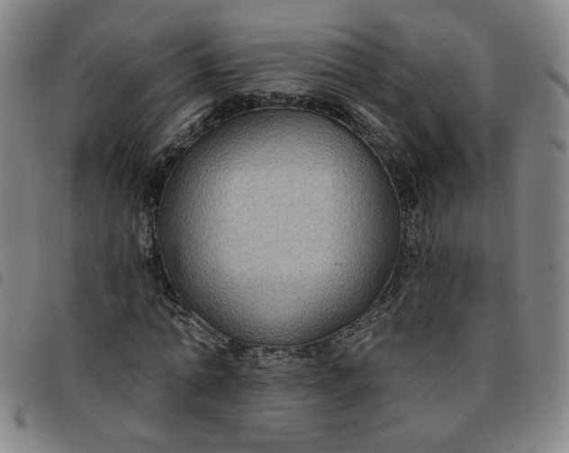 X0000097510774200803071823