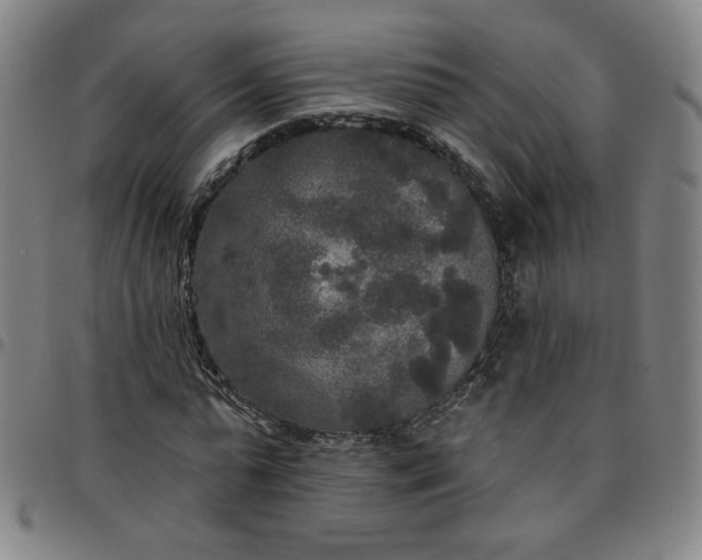 X0000097510775200803071823