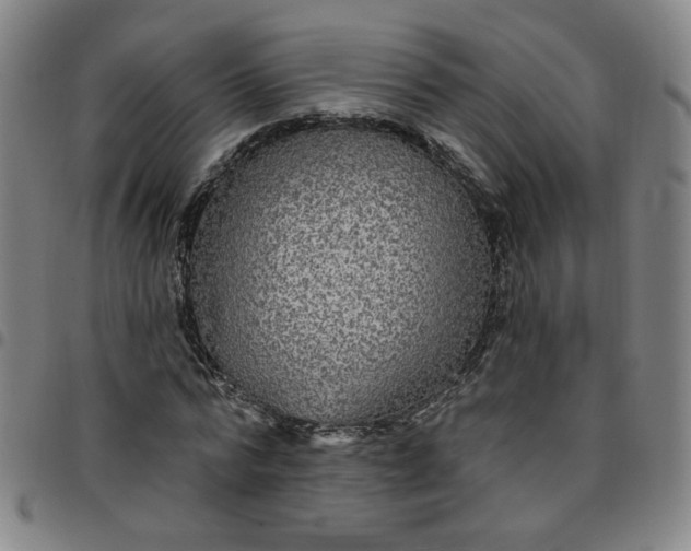 X0000097510776200803071823