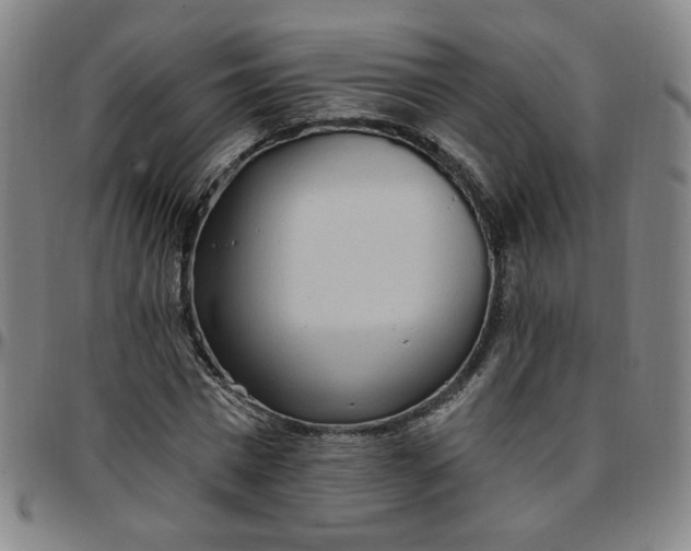 X0000097510777200803071823